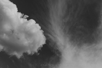ME77 is a photograph by T.M. Schultze taken 2021 at Laguna Mountains, California