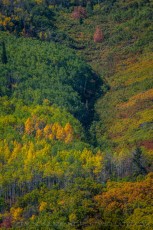 PC17 is a photograph by T.M. Schultze taken 2021 at Park City, Utah