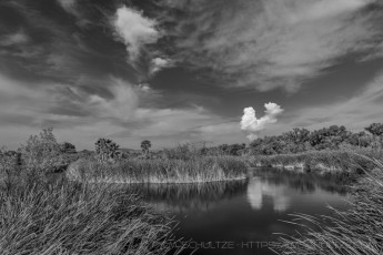 SNT89 is a photograph by T.M. Schultze taken 2021 at Santee, California