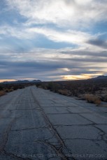 US60-14 is a photograph by T.M. Schultze taken 2021 at Chiriaco Summit, California