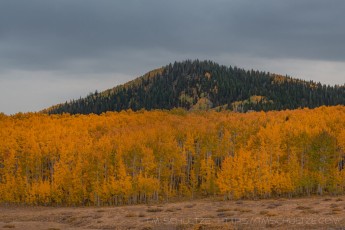 UT138 is a photograph by T.M. Schultze taken 2021 at Wasatch Mountains, Utah