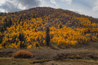 UT145 is a photograph by T.M. Schultze taken 2021 at Park City, Utah