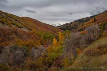 UT175 is a photograph by T.M. Schultze taken 2021 at Summit Park, Utah