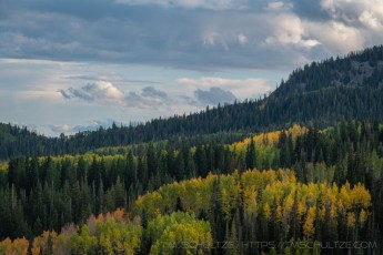 WS10 is a photograph by T.M. Schultze taken 2021 at Park City, Utah