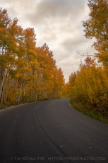 WS118 is a photograph by T.M. Schultze taken 2021 at Wasatch Mountains, Utah