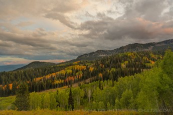 WS38 is a photograph by T.M. Schultze taken 2021 at Park City, Utah