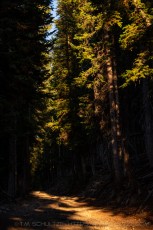 WS63 is a photograph by T.M. Schultze taken 2021 at Wasatch Mountains, Utah