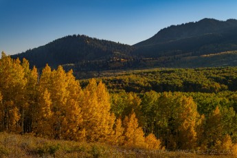 WS64 is a photograph by T.M. Schultze taken 2021 at Wasatch Mountains, Utah