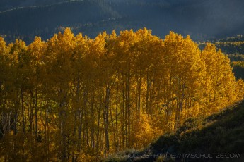 WS70 is a photograph by T.M. Schultze taken 2021 at Wasatch Mountains, Utah