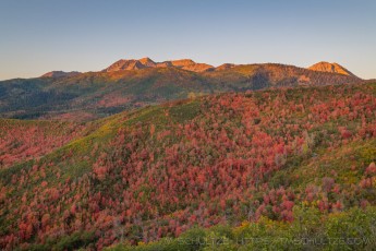 WS88 is a photograph by T.M. Schultze taken 2021 at Wasatch Mountains, Utah