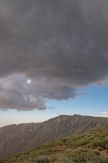 LM266 is a photograph by T.M. Schultze taken 2022 at Laguna Mountains, California