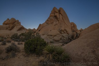 JT341 is a photograph by T.M. Schultze taken 2022 at Joshua Tree National Park, California