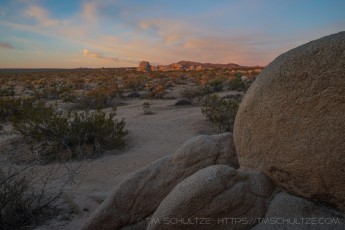 JT353 is a photograph by T.M. Schultze taken 2022 at Joshua Tree National Park, California