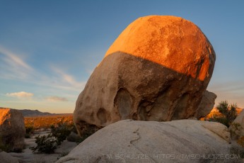 JT356 is a photograph by T.M. Schultze taken 2022 at Joshua Tree National Park, California