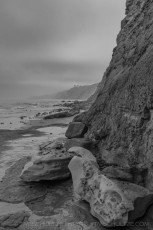 LJ138 is a photograph by T.M. Schultze taken 2022 at La Jolla, California