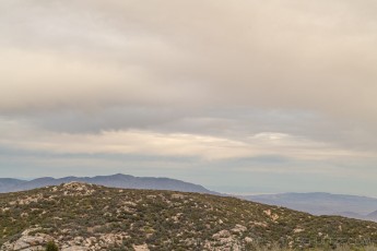 LM224 is a photograph by T.M. Schultze taken 2022 at Laguna Mountains, California