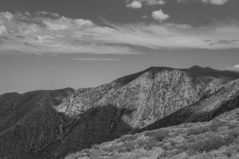 LM244 is a photograph by T.M. Schultze taken 2022 at Laguna Mountains, California