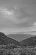 LM249 is a photograph by T.M. Schultze taken 2022 at Laguna Mountains, California