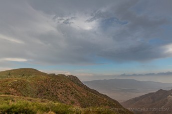 LM251 is a photograph by T.M. Schultze taken 2022 at Laguna Mountains, California