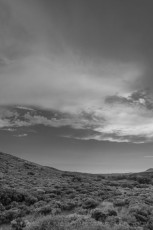 LM262 is a photograph by T.M. Schultze taken 2022 at Laguna Mountains, California