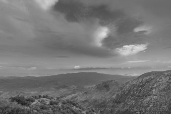 LM266 is a photograph by T.M. Schultze taken 2022 at Laguna Mountains, California