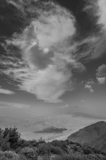 LM292 is a photograph by T.M. Schultze taken 2022 at Laguna Mountains, California