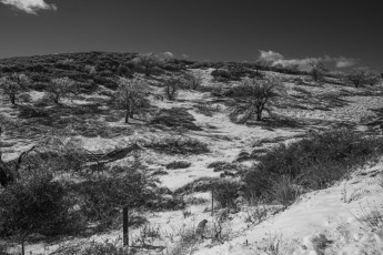 LM304 is a photograph by T.M. Schultze taken 2022 at , California