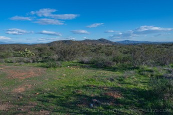 MTRP178 is a photograph by T.M. Schultze taken 2022 at San Diego, California