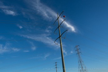 MTRP215 is a photograph by T.M. Schultze taken 2022 at San Diego, California