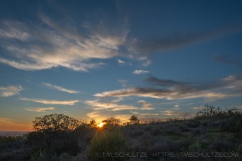 MTRP228 is a photograph by T.M. Schultze taken 2022 at San Diego, California