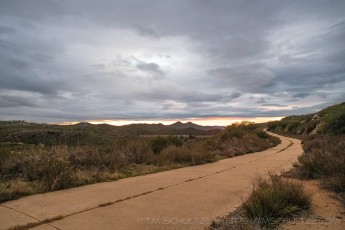 OH80110 is a photograph by T.M. Schultze taken 2022 at Descanso, California