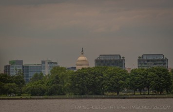 ALG24 is a photograph by T.M. Schultze taken 2023 at Arlington, Virginia