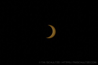 EC523 is a photograph by T.M. Schultze taken 2023 at Descanso, California