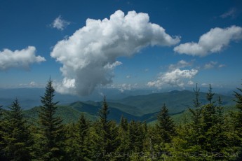 GSMNP24 is a photograph by T.M. Schultze taken 2023 at Great Smoky Mountains National Park, North Carolina