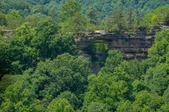 KY143 is a photograph by T.M. Schultze taken 2023 at Daniel Boone National Forest, Kentucky