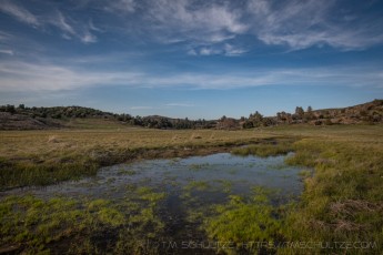 LM324 is a photograph by T.M. Schultze taken 2023 at Laguna Mountains, California