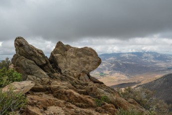 LM522 is a photograph by T.M. Schultze taken 2023 at Laguna Mountains, California
