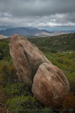 LM702 is a photograph by T.M. Schultze taken 2023 at Laguna Mountains, California