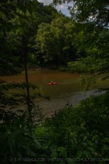 MMCNP57 is a photograph by T.M. Schultze taken 2023 at Mammoth Cave National Park, Kentucky