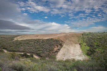 MTRP207 is a photograph by T.M. Schultze taken 2023 at San Diego, California