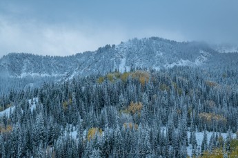 UT504 is a photograph by T.M. Schultze taken 2023 at Park City, Utah