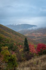 UT607 is a photograph by T.M. Schultze taken 2023 at Wasatch Mountains, Utah