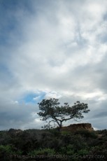 TP222 is a photograph by T.M. Schultze taken 2024 at San Diego, California