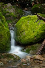 CBA239 is a photograph by T.M. Schultze taken 2024 at Castle Rock State Park, California