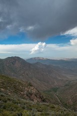 LM809 is a photograph by T.M. Schultze taken 2024 at Laguna Mountains, California