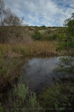 MTRP316 is a photograph by T.M. Schultze taken 2024 at San Diego, California