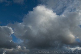 SNT452 is a photograph by T.M. Schultze taken 2024 at San Diego, California