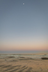 CRD423 is a photograph by T.M. Schultze taken 2025 at Solana Beach, California