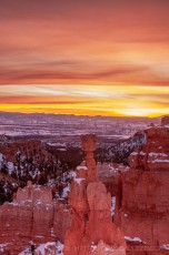BCNP20 is a photograph by T.M. Schultze taken 2010 at Bryce Canyon National Park, Utah