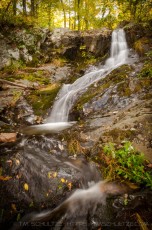 SHNP4 is a photograph by T.M. Schultze taken 2010 at Shenandoah National Park, Virginia